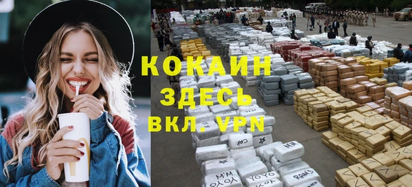 герыч Алексин