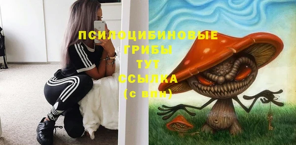 герыч Алексин