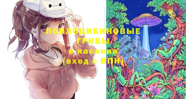 герыч Алексин