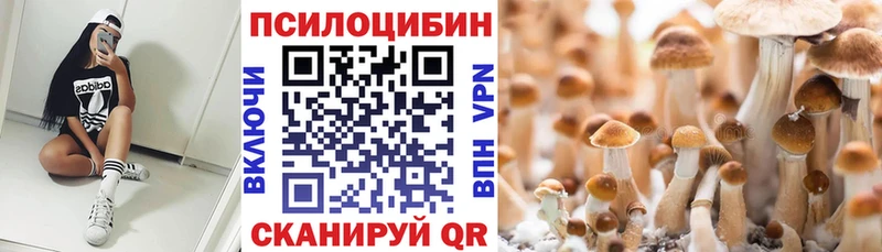 Псилоцибиновые грибы Psilocybe  Гаврилов Посад 